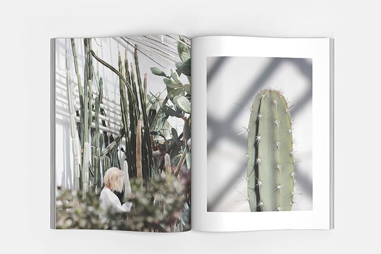 Portfolio project image