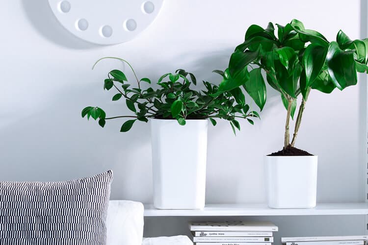 Portfolio project image